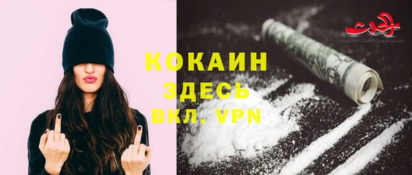 прущие грибы Наволоки