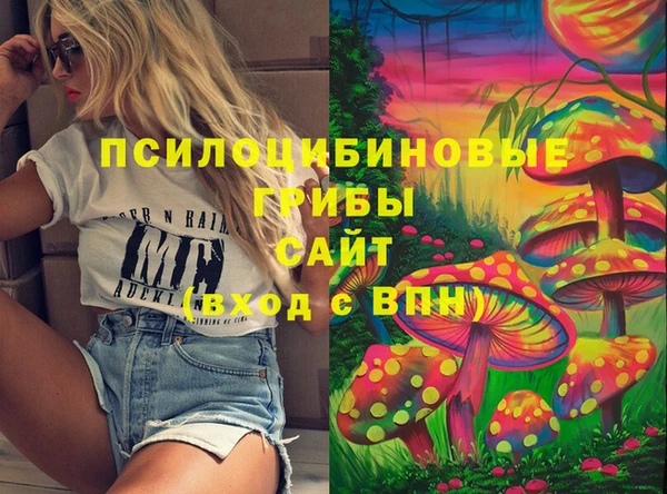 прущие грибы Наволоки