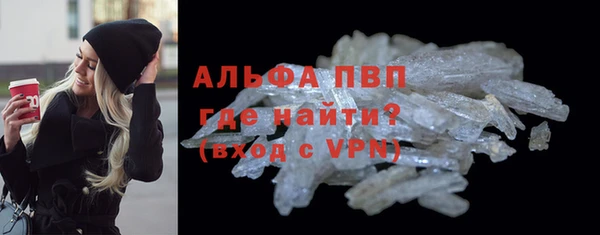 прущие грибы Наволоки