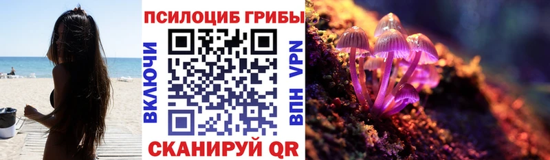 Псилоцибиновые грибы GOLDEN TEACHER  Ленск 